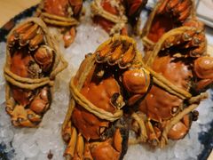 花雕醉蟹-清水日本料理铁板烧(学府路店)