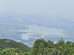 -东莞市大岭山森林公园