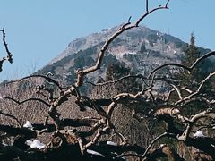 -香山公园