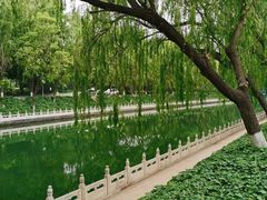 -南长河公园