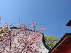 -乌山风景区