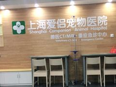 -爱侣宠医·鹦鹉专科·小型哺乳类·异宠专科(灵石路店)