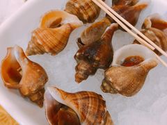-鸿达渔港