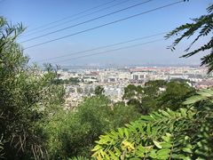 -仙岳公园