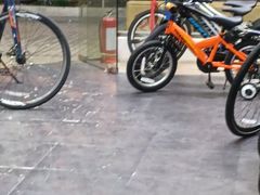 -GIANT捷安特自行车专卖店(金桥台儿庄路店)