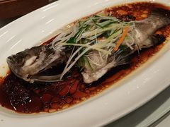 -老洋房花园饭店(绍兴路店)