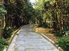 -冶父山国家森林公园
