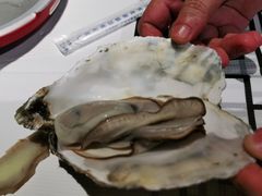 -熊记虾王·小龙虾(东晓南店)