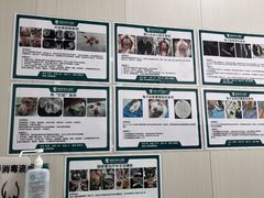 -东莞宠友24H宠物中心医院·转诊夜诊·异宠(新河北路院)