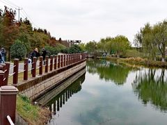-大莲湖农家乐(青西郊野公园店)