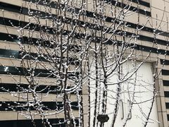 -中国电力科学研究院有限公司