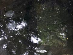 -青青世界