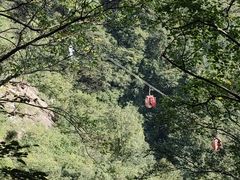 -王顺山国家森林公园