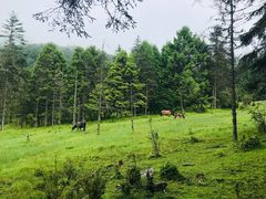 -硗碛藏寨·神木垒景区