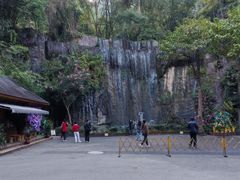 -西双版纳原始森林公园