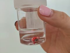 -中国人民解放军总医院