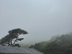 -妙峰山风景名胜区