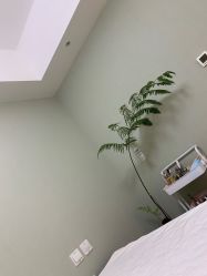 点击看大图 -Lumi露米·美甲美睫品质店