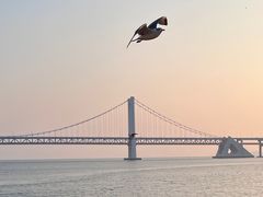 -星海广场