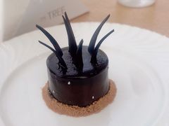 -大树餐厅(环球港店)