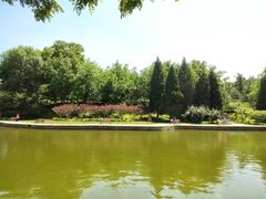 -团结湖公园