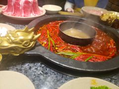 -蜀大侠火锅(建设路第五大道店)