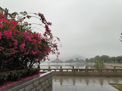 -顺峰山公园