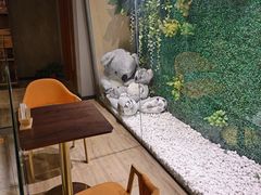 -了不起的考拉咖啡店(高新店)