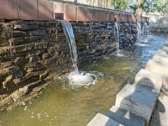 -石家庄市植物园