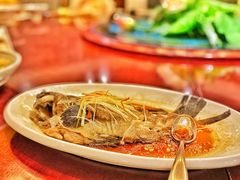 豉油皇蒸石斑鱼-海尔洲际酒店天下一品中餐厅
