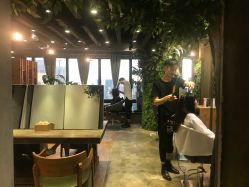 -V-STAR威斯达•高级私人定制