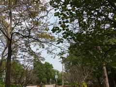 -广东花都湖国家湿地公园