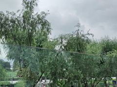 -怡得观滇餐厅·地道昆明菜·1996(海埂大坝店)