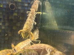 -新荣记(椒江店)