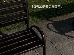-荔湾湖公园