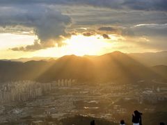 -长虫山生态公园风景林