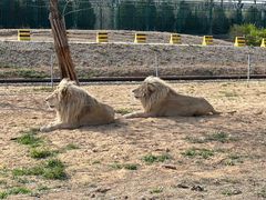 -秦皇岛野生动物园