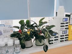 -中国农业大学动物医院