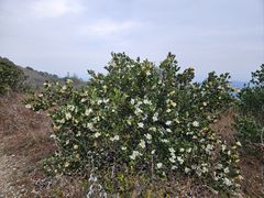 -盘龙城国家考古遗址公园