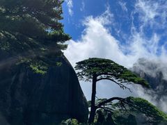 -黄山风景区