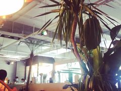 -the rug 飞毯 (朝阳公园店)