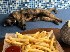 -Sirena海妖日咖夜酒