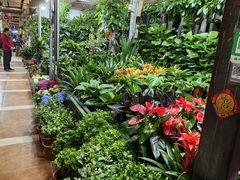 -朝来春花卉市场