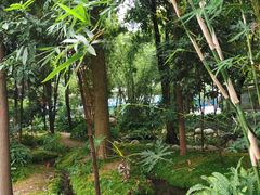 -成都市活水公园