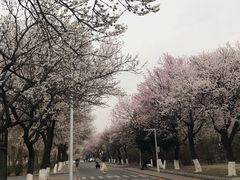 -吉林大学(南岭校区)
