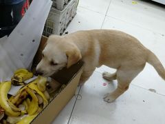 -仲雅水果大卖场(仲雅苑店)