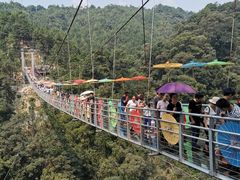 -九龙江国家森林公园