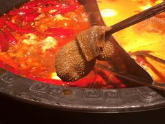 -袁老四重庆老火锅(桐梓坡店)