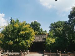 -昭明书院