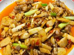 -新概念来凤鱼(璧山店)